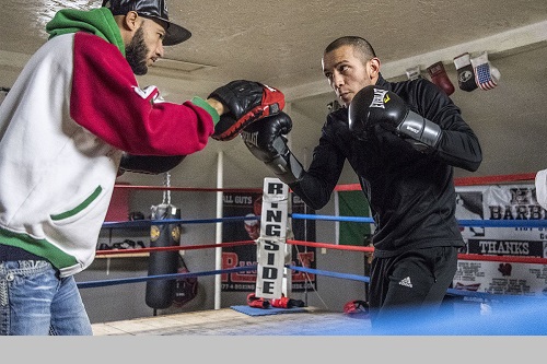 Profile Eric Vargas the boxing broker Insurance Business